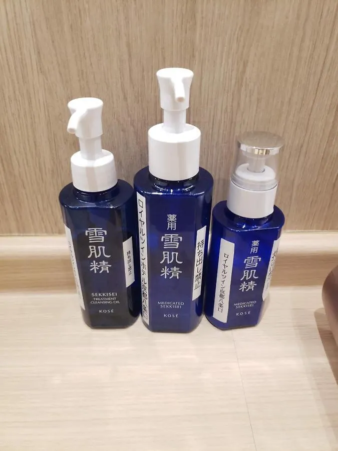 Royal Twin Hotel Kyoto Hachijoguchi