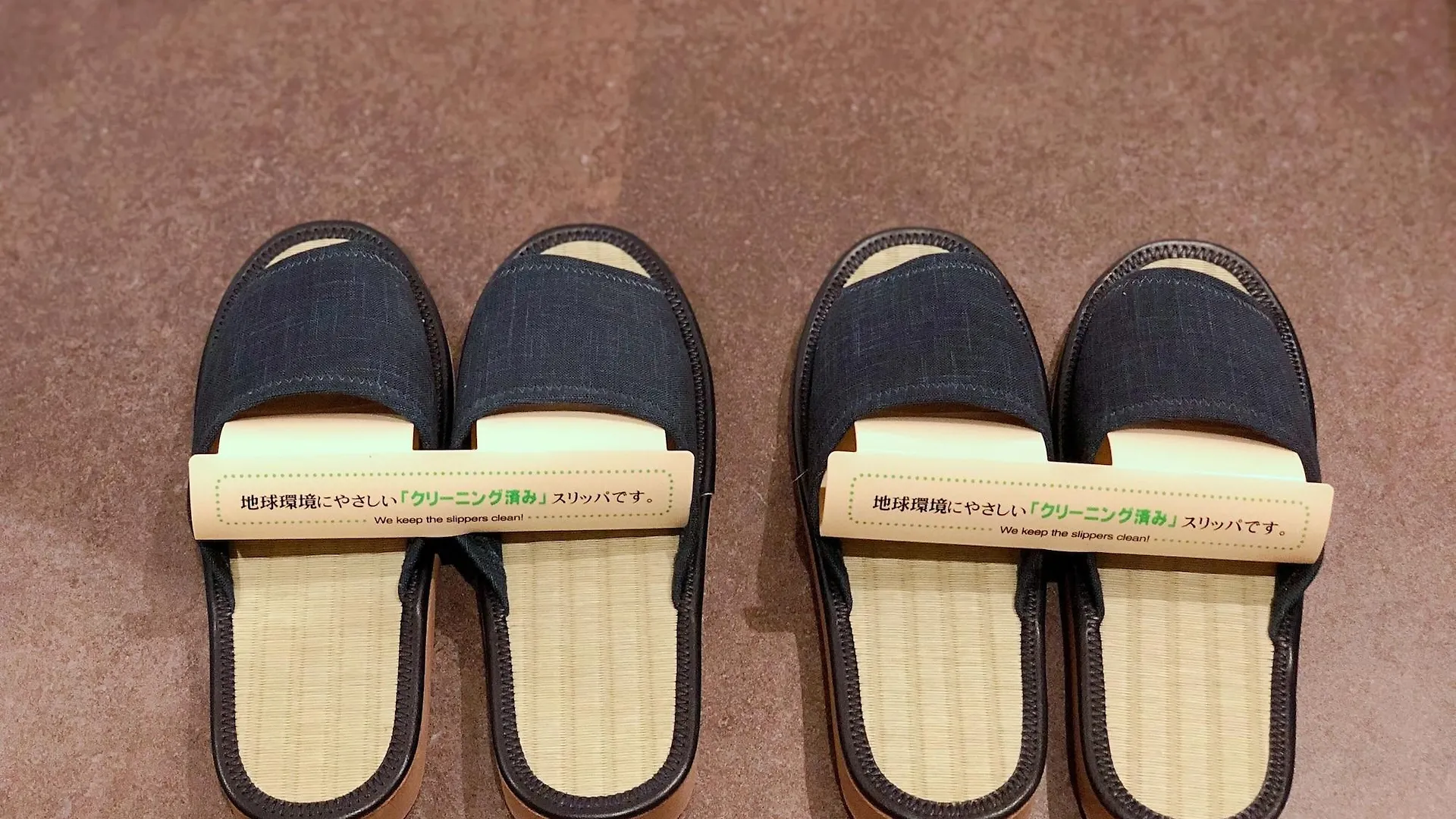 Royal Twin Hotel Kyoto Hachijoguchi